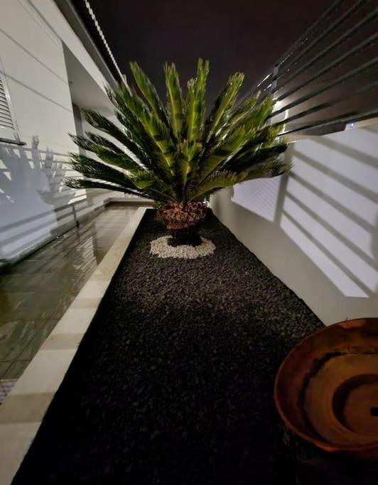 Vila Da Pesca House Rabo de Peixe Екстериор снимка